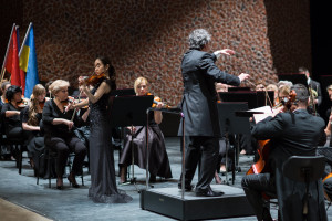 VII dzień III etap kolor M-74